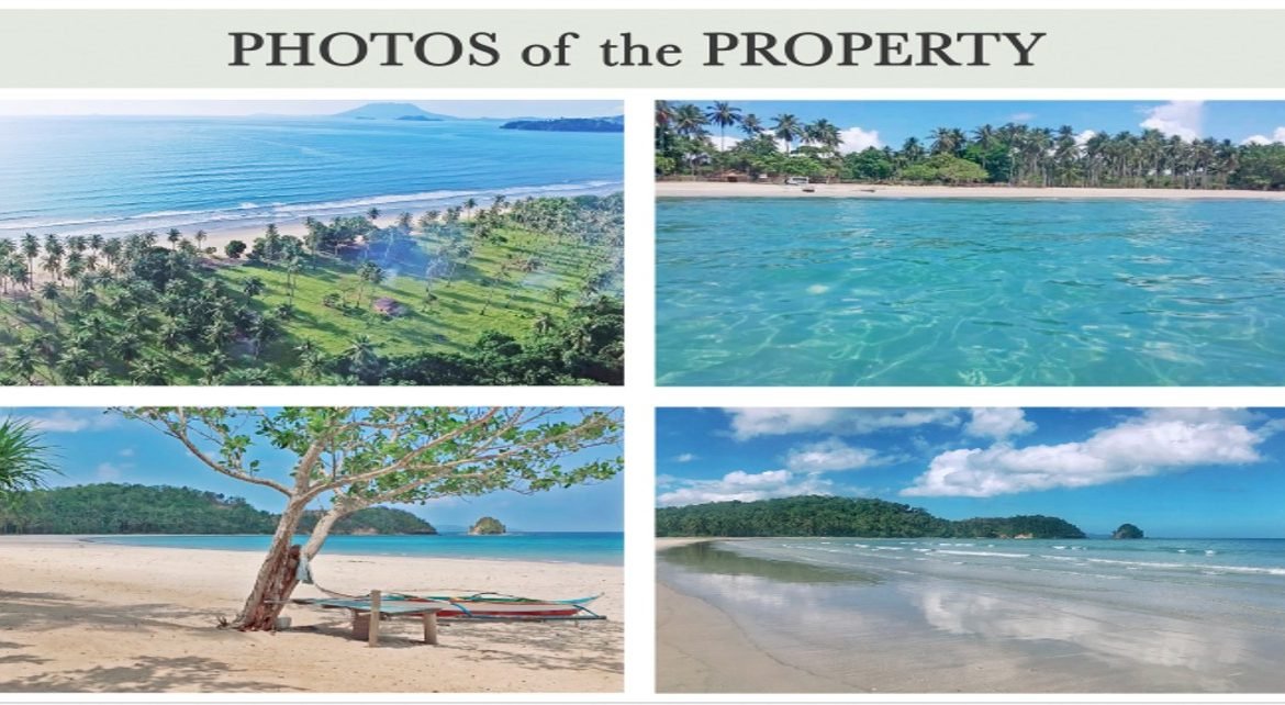 8.8 Hectares of Prime White Sand Beachfront Property For Sale within